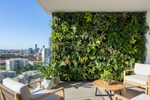 green wall balcony brisbane