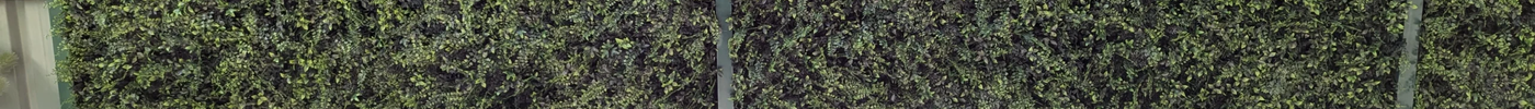 Using Artificial Green Walls for Boundary Screening