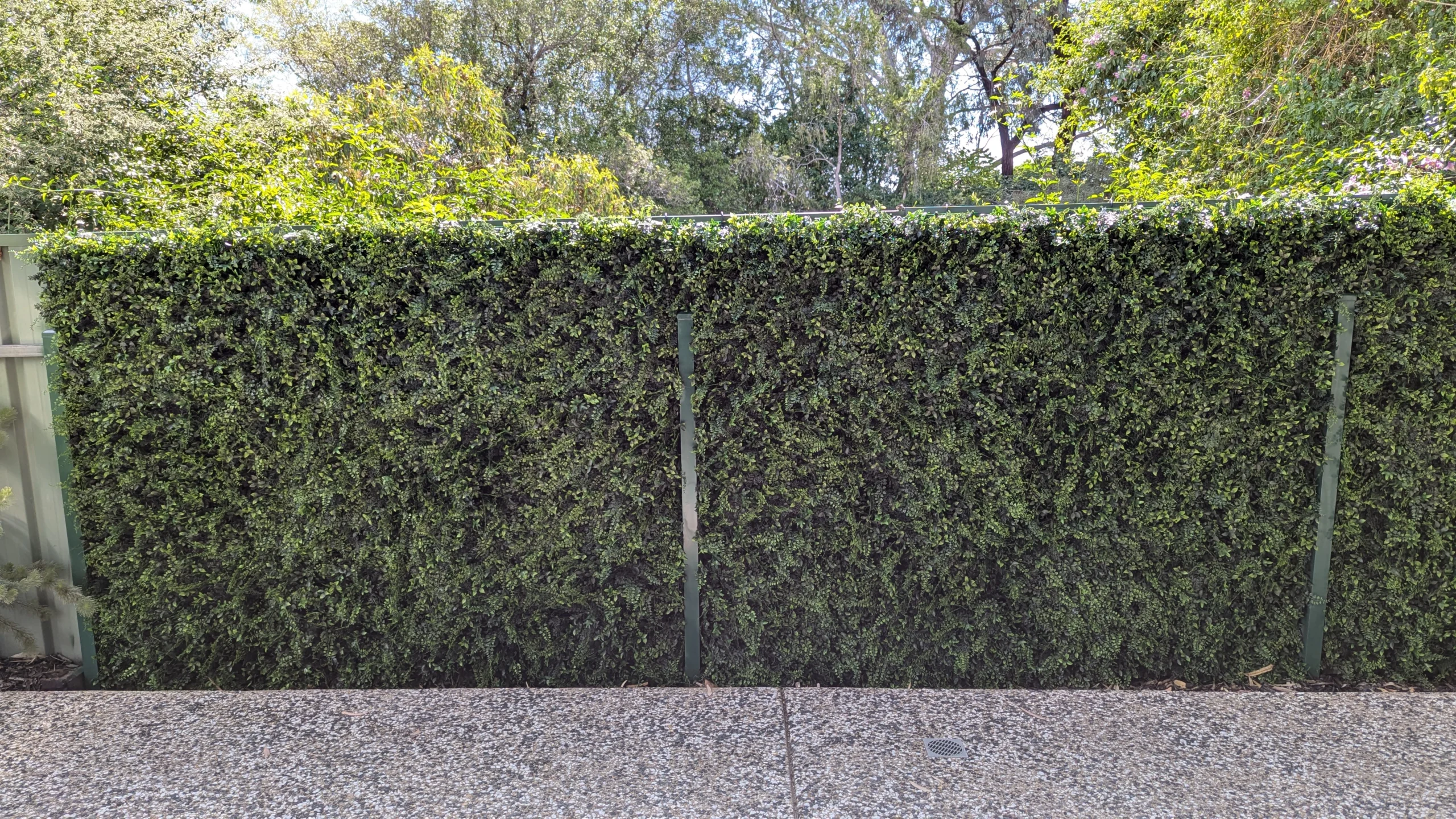 Using Artificial Green Walls for Boundary Screening