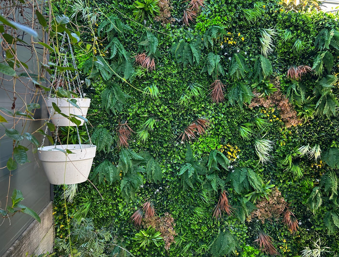 <h2><span style="text-decoration:underline">Don't let boring walls get you down </span></h2><h2><span style="text-decoration:underline">Green Wall Them!!</span></h2>