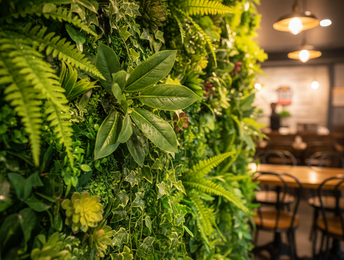 CLOSE UP ARTIFICIAL GREEN WALL IN A CAFE